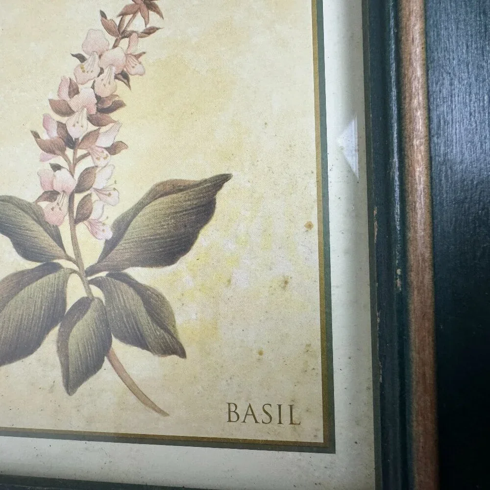 Vintage Country Style Picture Featuring Herbs Wall Decor Set of 2 Botanical ART